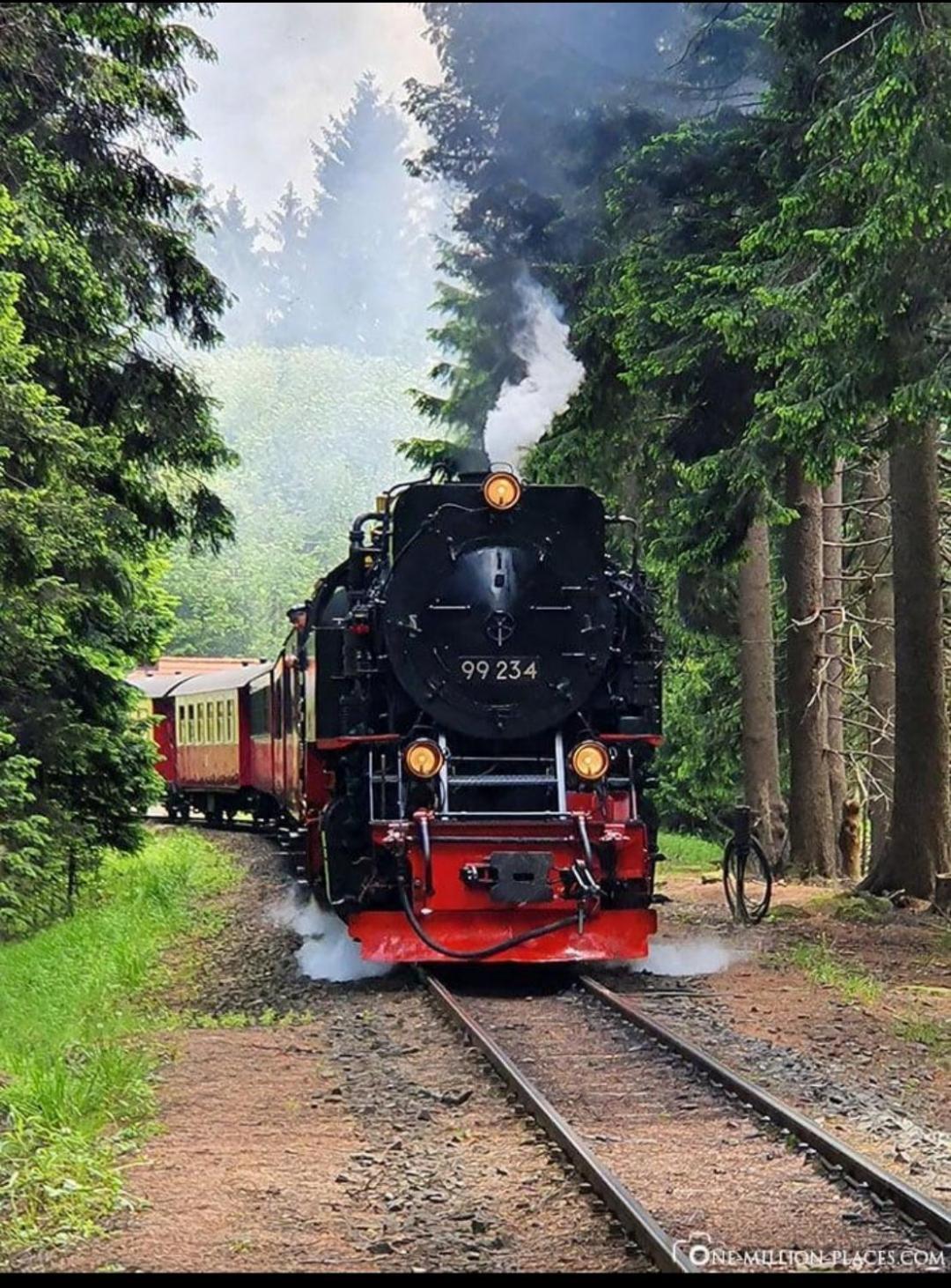 Ferienwohnung Holzmann Wernigerode Exterior foto
